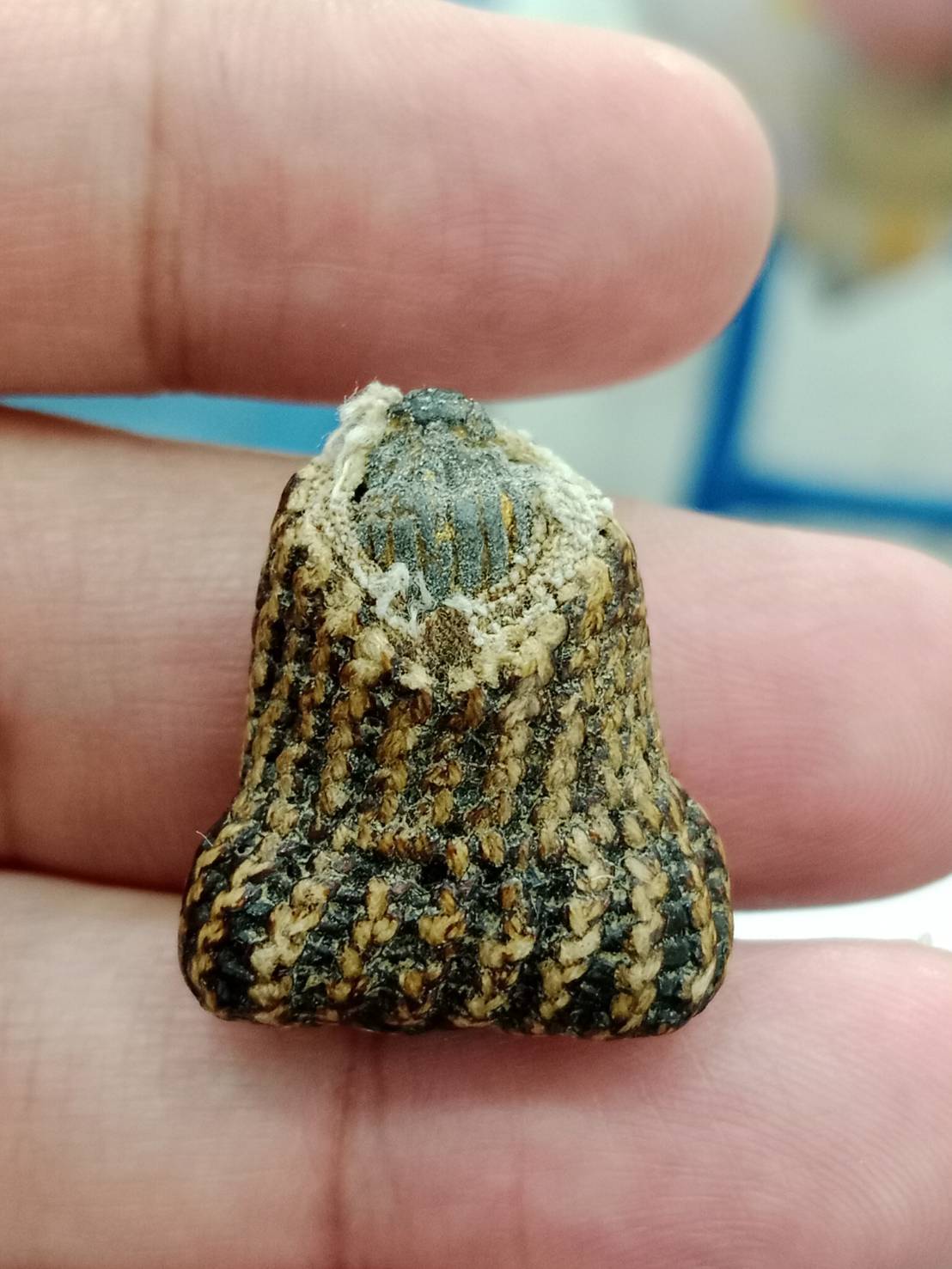 ข้อมูลเพิ่มเติมจากผู้ขาย