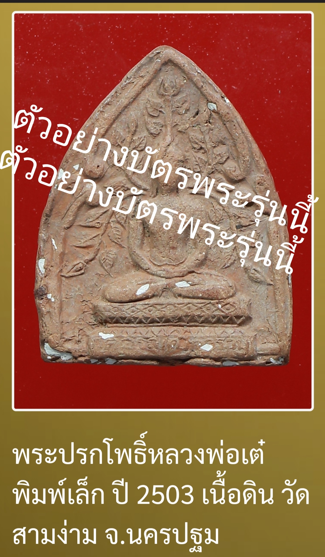 ข้อมูลเพิ่มเติมจากผู้ขาย