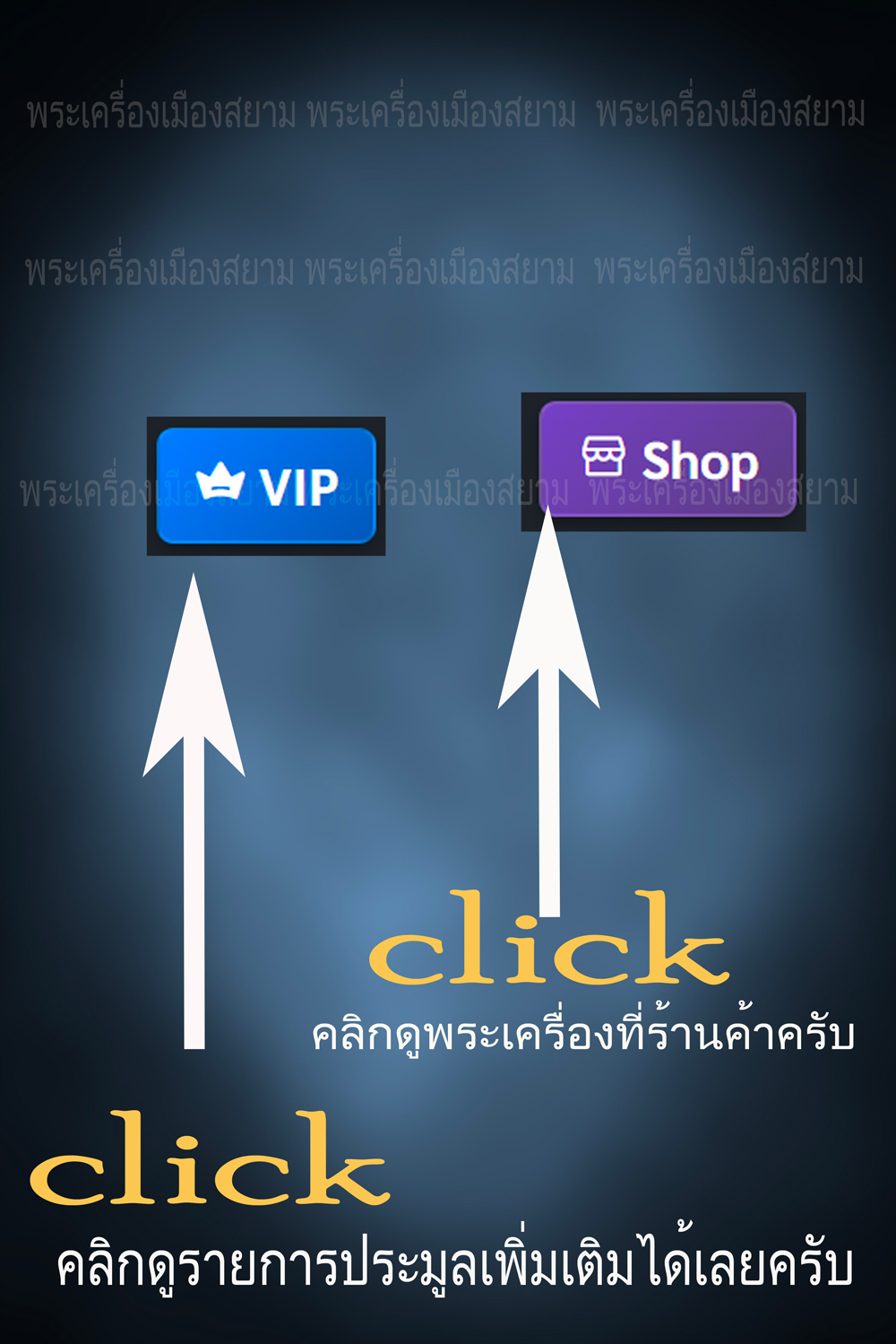 ข้อมูลเพิ่มเติมจากผู้ขาย