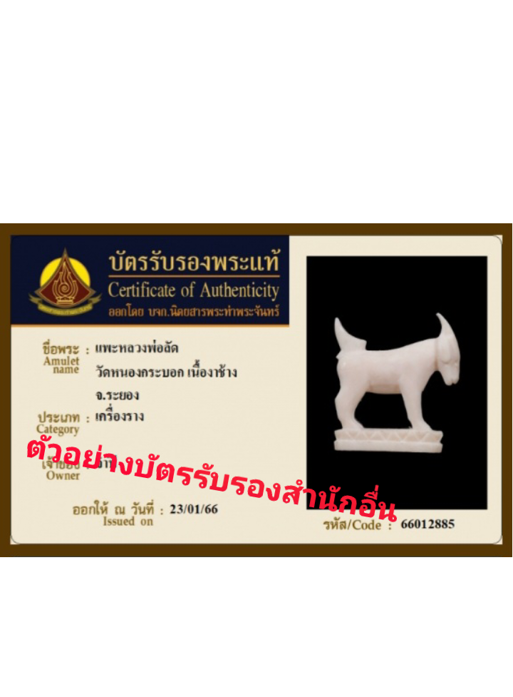 ข้อมูลเพิ่มเติมจากผู้ขาย