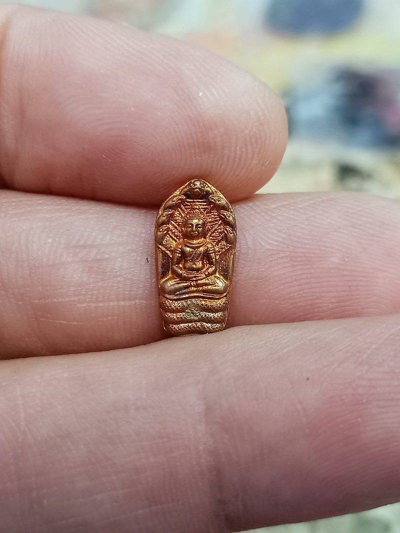 D2526 วัดใจ 50 พระปรกมะขาม หลวงปู่ผ่าน ฉันทโก วัดป่าโพธิ์แก้ว2 จ.ปราจีนบุรี