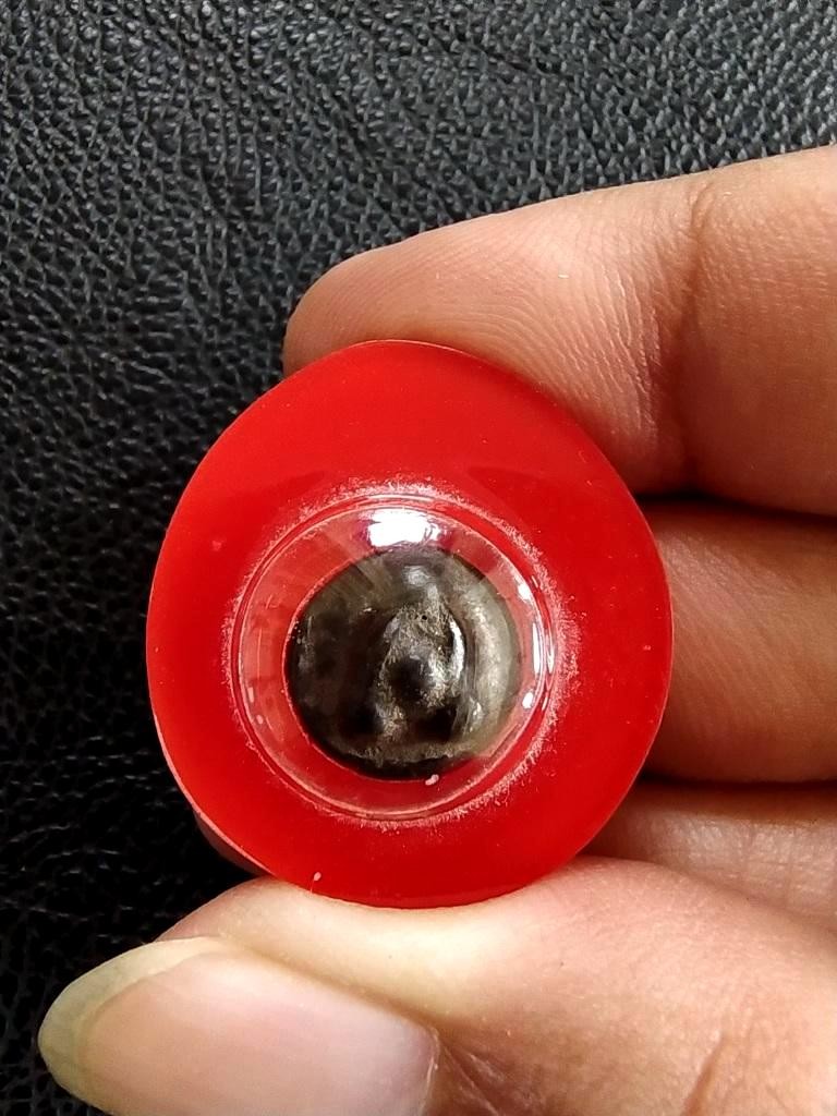 500.-พระปิดตาเม็ดกระดุมจิ๋ว เนื้อผงคลุกรัก หลวงพ่อเชย จันทสิริ วัดโพธิ์ทองล่าง นนทบุรี