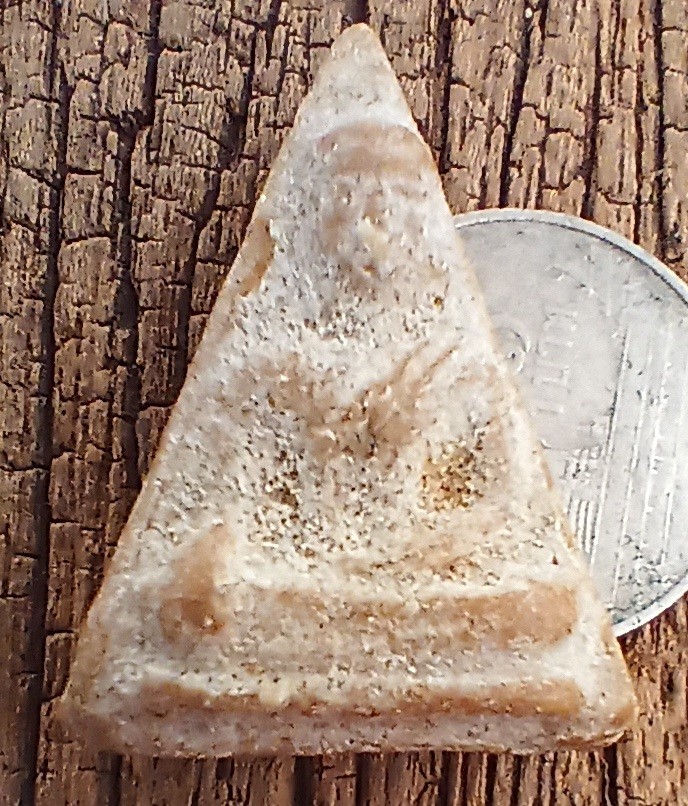 ++พระนางพญาผงน้ำมัน รุ่นแรก  ว.ป่าคา จ.อยุธยา++1