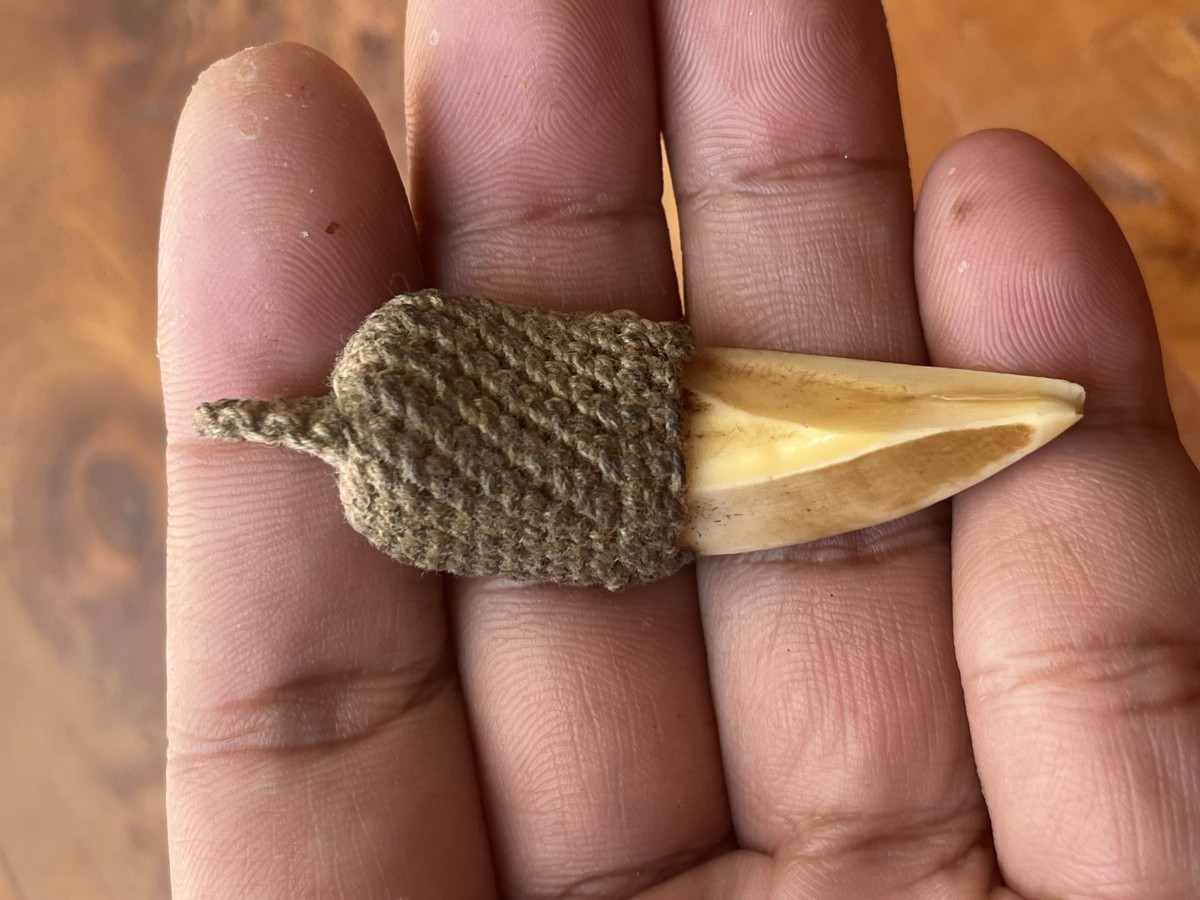 เขี้ยวหมูป่า (เขี้ยวหมูตัน)  ของทนสิทธิ์ ผิวหิ้งๆ ถักเชือกเก่า