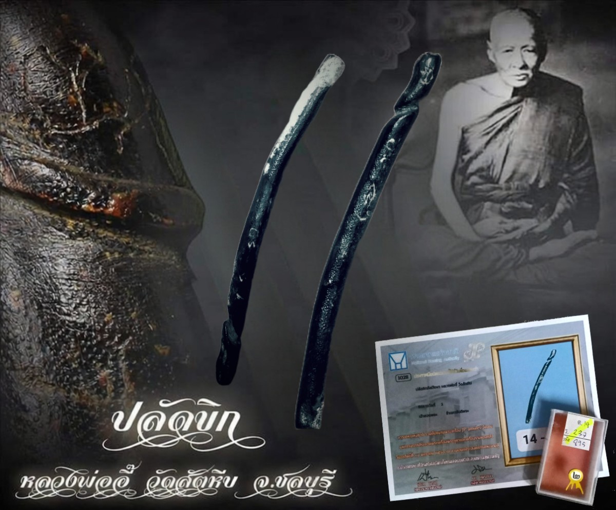 ปลัดขิกกัลปังหา"ลพ.อี๋"วัดสัตหีบ ติดรางวัลที่2งาน การเคหะ