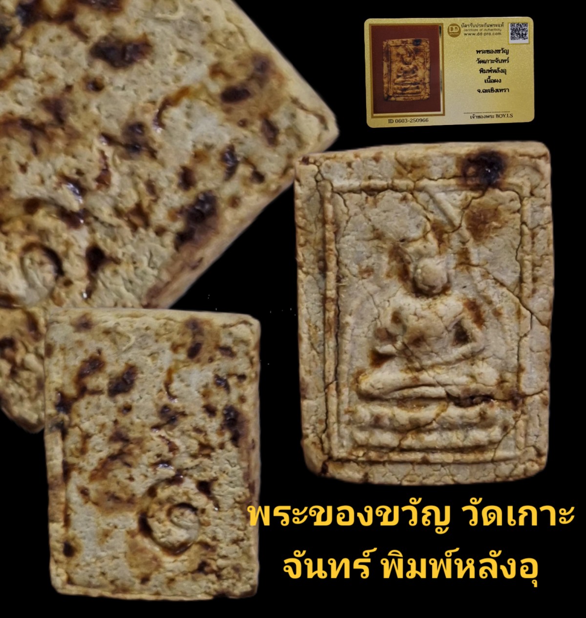 พระของขวัญ วัดเกาะจันทร์ พิมพ์หลังอุ เนื้อผง จังหวัดฉะเชิงเทรา พร้อมบัตรรับรองเว็บ