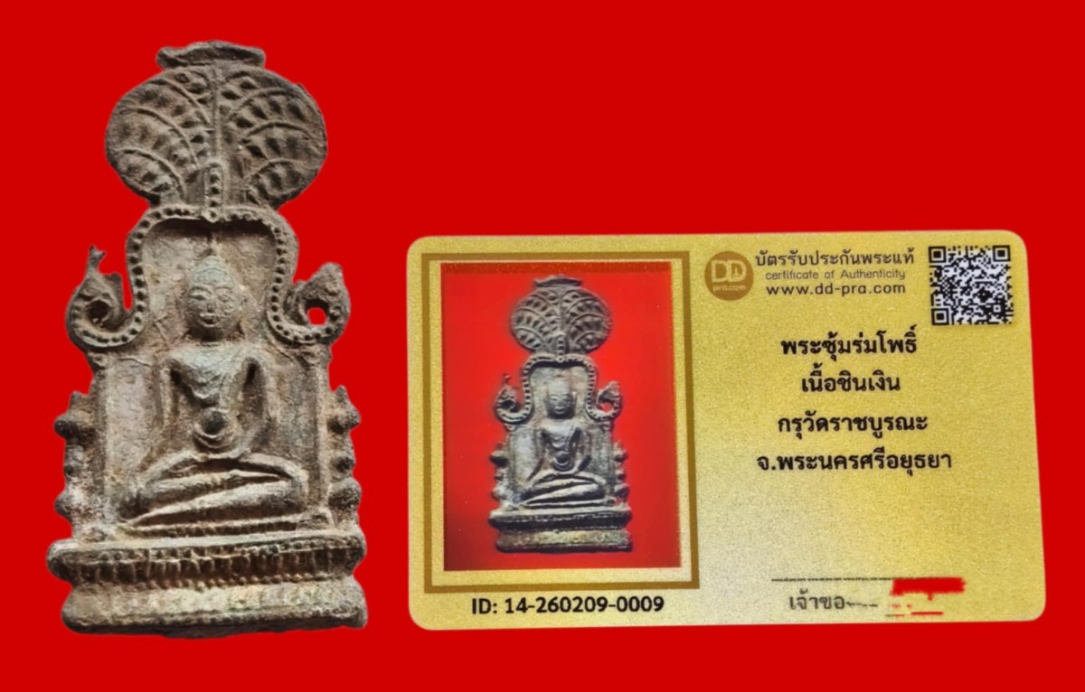 พระซุ้มร่มโพธิ์ เนื้อชินเงิน กรุวัดราชบูรณะ จ.อยุธยา สวยแชมป์+บัตร