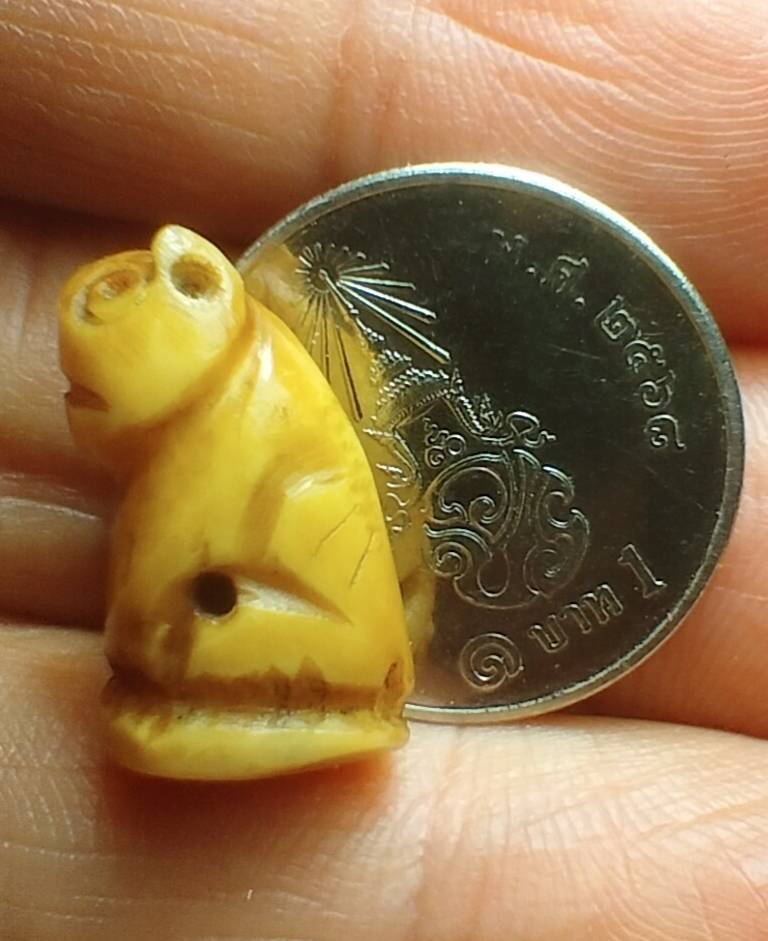 เสือเก่า