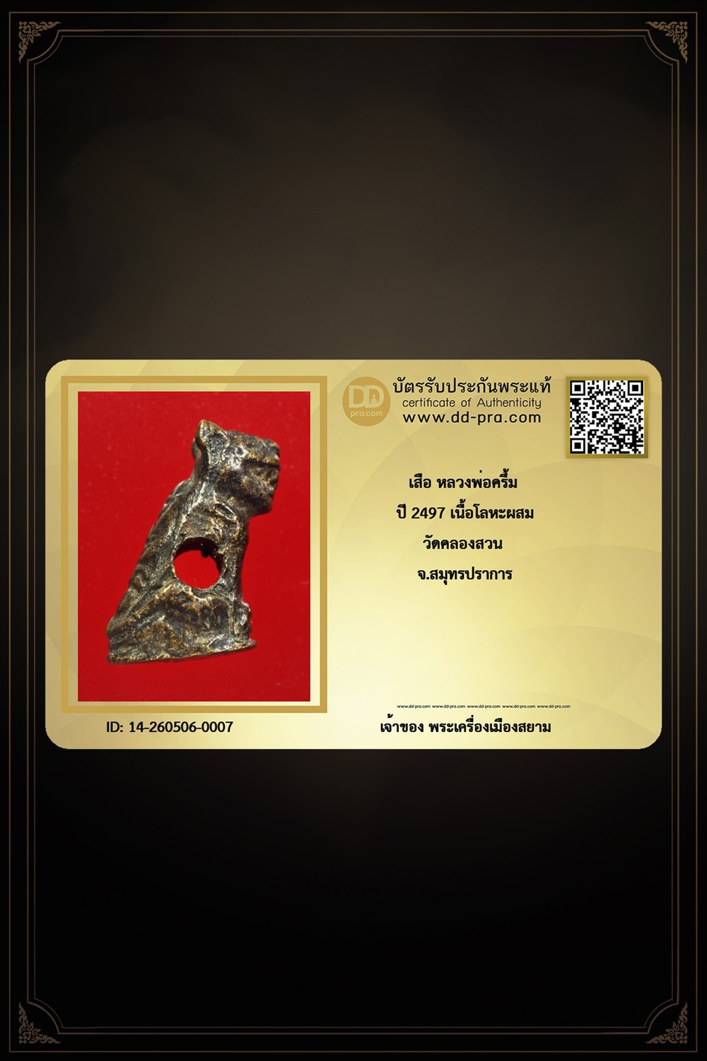 +++ เริ่มประมูล พระแท้ๆ ครับ เสือหลวงพ่อครื้ม ปี 2497 เนื้อโลหะผสม วัดคลองสวน จ.สมุทรปราการ  +++ หายากมาก ครับ ข้อมูลตามบัตรรับประกัน ครับ +++