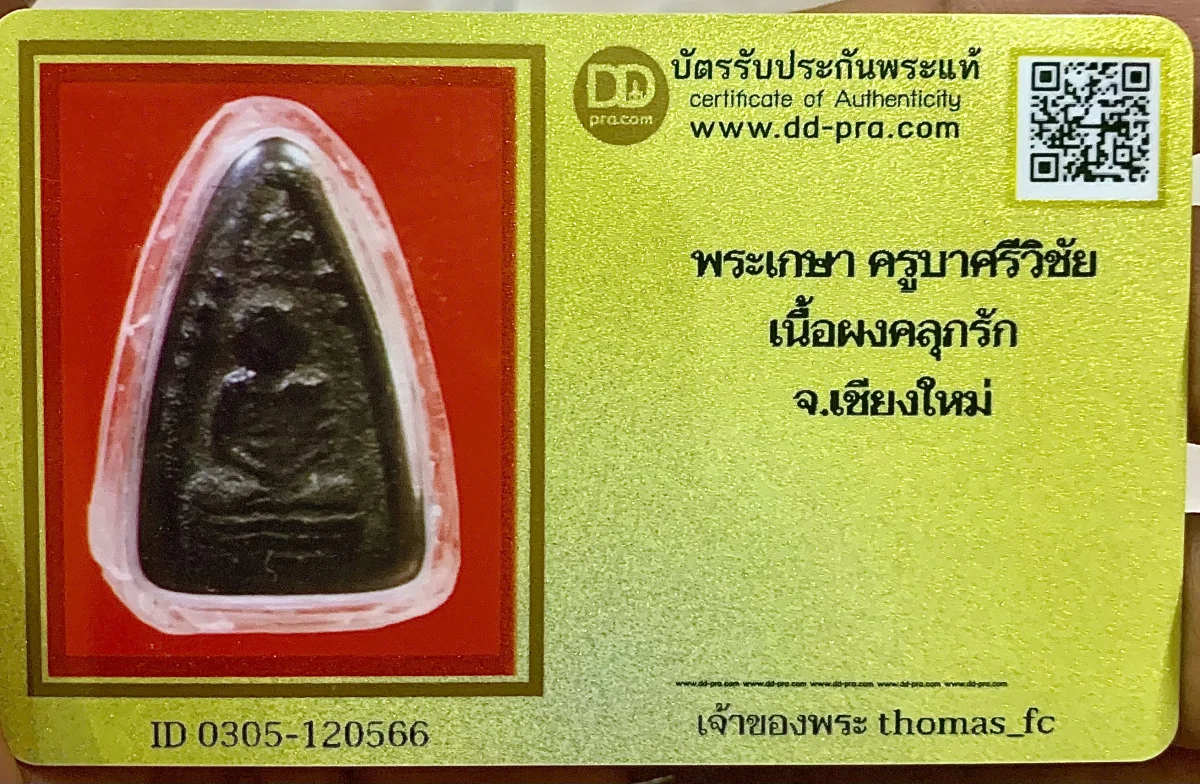 วัดใจ 10 บาท กับ พระเกษา ครูบาศรีวิชัย เนื้อผงคลุกรัก จ.เชียงใหม่ + ใบรับรอง