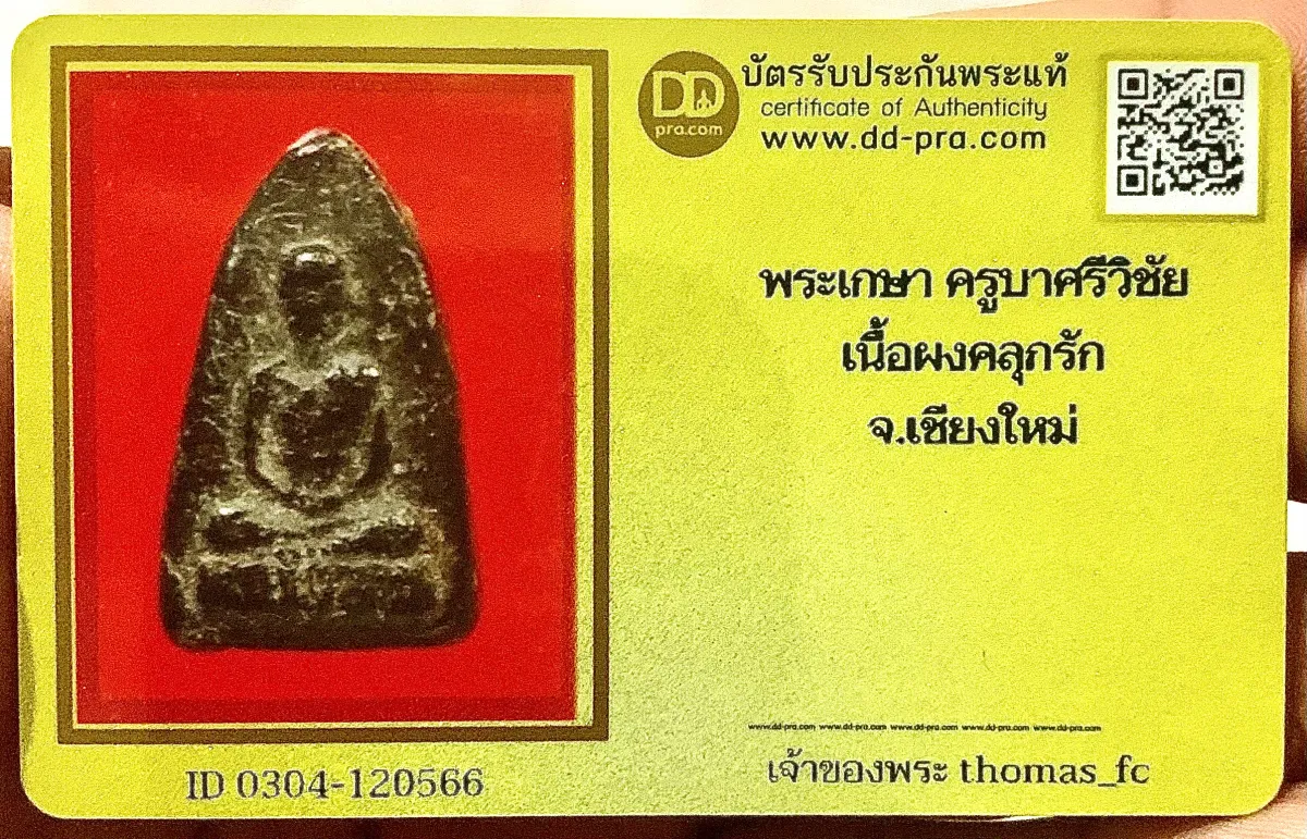 วัดใจ 10 บาท กับ พระเกษา ครูบาศรีวิชัย เนื้อผงคลุกรัก จ.เชียงใหม่ ยุคต้น ทันท่าน+ใบรับรอง