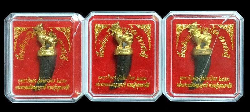 เริ่ม 100 ผู้ชนะรับ 3 กล่อง ++++ เขี้ยวสัมฤทธิ์สิงห์มหาโชค มหาเศรษฐี ท่านเจ้าคุณธงชัย วัดไตรมิตร ปี 2559 ขนาดสูง 2 นิ้ว ตอกโค้ดและหมายเลข พร้อมกล่องเดิม