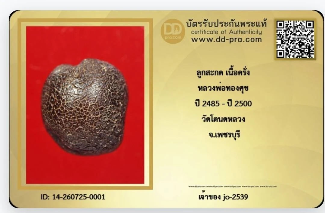 ลูกสกดครั่งเหลือร้ายหลวงพ่อทองสุข