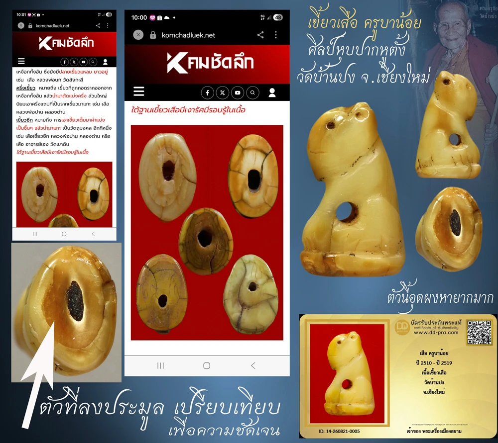 ทุน 2,800+++ เริ่มประมูล 1,000 พระแท้ๆ ครับ เสือ ครูบาน้อย ปี 2510 - ปี 2519 เนื้อเขี้ยวเสือ วัดบ้านปง จ.เชียงใหม่ หายากมาก ครับ วัดใจให้ครับ ทุนมาแพง *** ตัวจริงเสียงจริง *** แท้ดูง่ายครับ +บัตรรับรอง