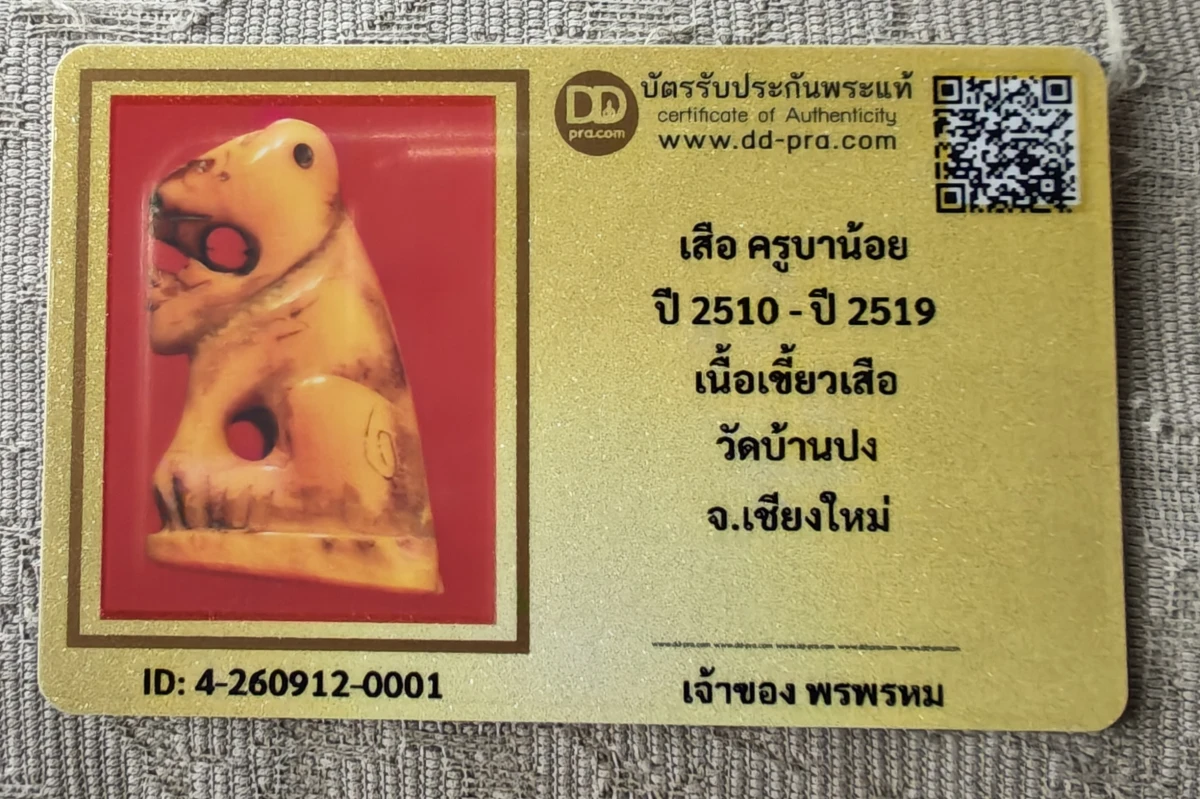 เสือ ครูบาน้อย ปี 2510 - ปี 2519 เนื้อเขี้ยวเสือ วัดบ้านปง จ.เชียงใหม่