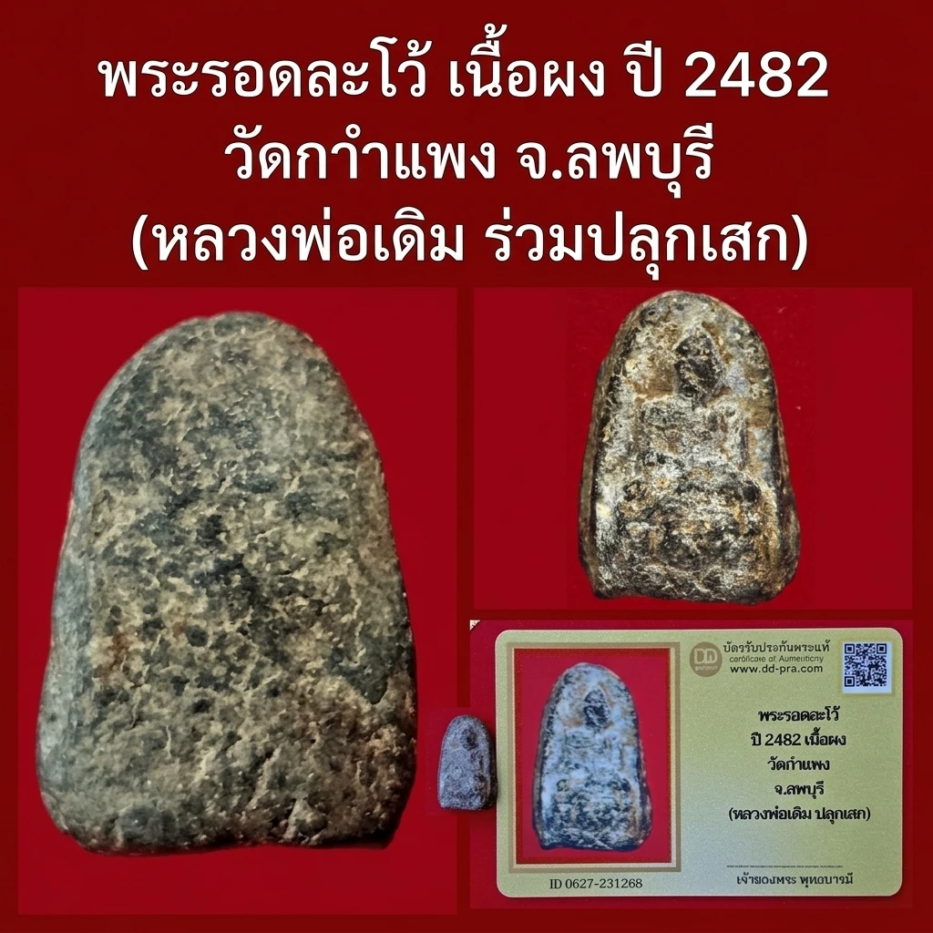 (หลวงพ่อเดิม ปลุกเสก) พระรอดละโว้ สวย เดิม ปี 2482 เนื้อผง วัดกำแพง จ.ลพบุรี + บัตรรับรอง