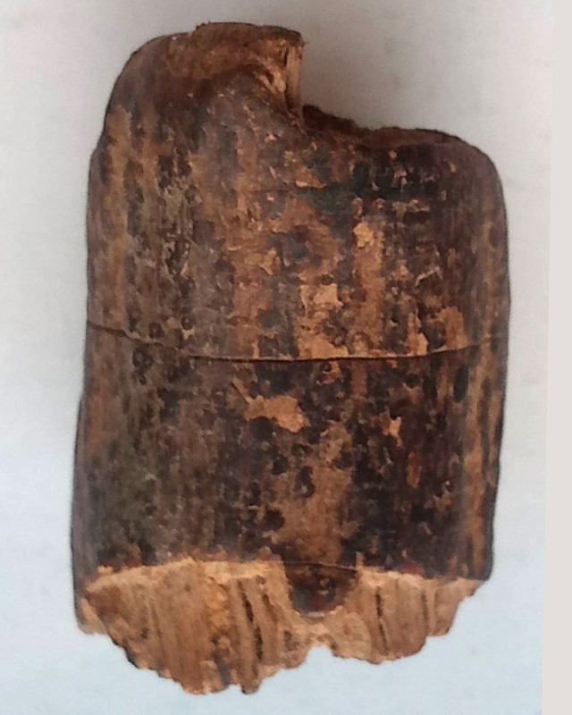 ตะกรุดไม้เก่ามากๆ ขนาด 1.5 x 2 ซ.ม. เชือกถักหลุดลุ่ยไปแล้ว