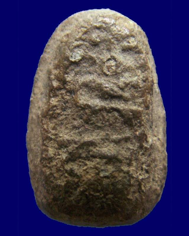 พระหลวงพ่อพริ้ง วัดบางปะกอก พิมพ์พระคงจิ๋ว