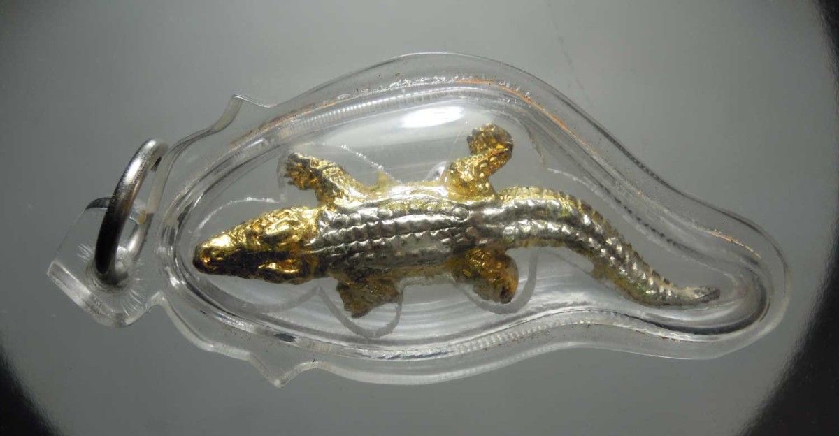 จระเข้​ หลวงปู่สุภา​ เคาะเดียว