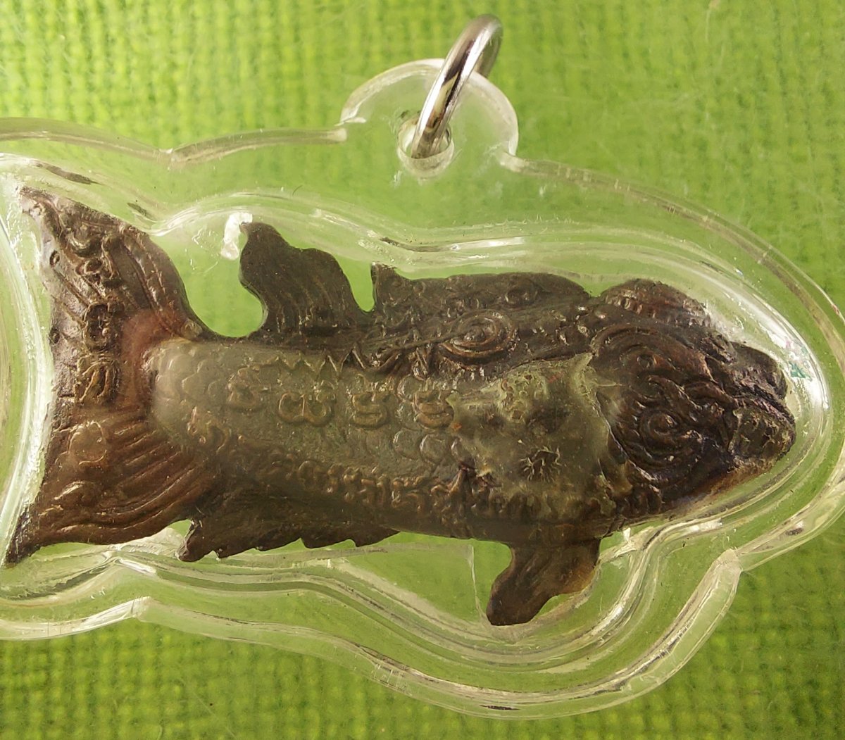 ปลากัด หลวงปู่น่วม เนื้อนวะ เลข 904