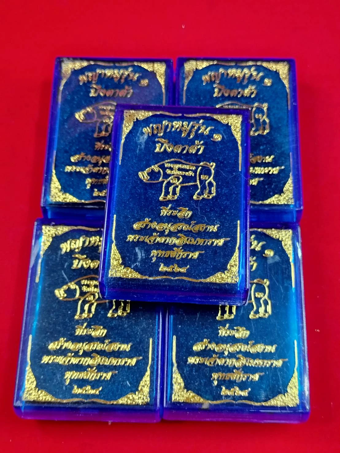 6J0024 เหรียญพญาหมูรุ่น หลวงพ่อสมคิด วัดบึงตาต้า ปี 2564 รวม 5 เหรียญ