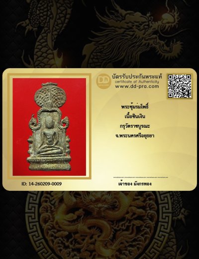 มังกรทอง มาแล้ว // เริ่มเคาะเเรก พระซุ้มร่มโพธิ์ เนื้อชินเงิน กรุวัดราชบูราณะ จ.อยุธยา สวยมาก มีหน้าตาครับ  Champ ///