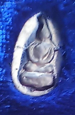 ++ พระพิจิตรเม็ดข้าวเม่า939ปี40 2โค๊ต++1