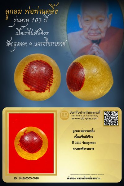 +++ เริ่มประมูล พระแท้ๆ เริ่ม 40 บาท ครับ ลูกอม พ่อท่านคลิ้ง ปี 2532 รุ่นอายุ 103 ปี วัดถลุงทอง จ.นครศรีธรรมราช +++ หายากมาก ครับ ข้อมูลตามบัตรรับประกัน +++
