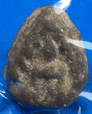 @@@เคาะแรก200บาท@@@พระผงกลีบบัว พระครูใบฎีกาเกลี้ยง วัดสุทัศน์ ปี 2475 องค์ที่4