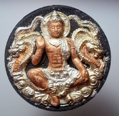 โครตมหาเศรษฐี 50 ว่านดินกากยายักษ์ ปิดนาก  เงิน