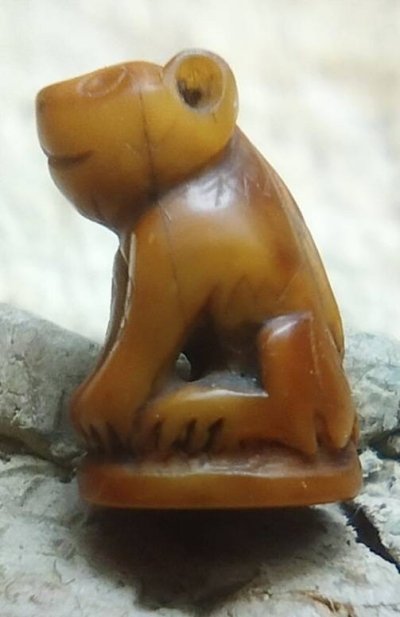 เสือจิ๋วเสือสาริกาเก่า