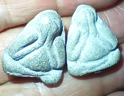 ++ 2ชิ้น พระปิดตา หลวงปู่โต๊ะ เนื้อผงใบลาน ปี14 วัดบางปะกอก กรุงเทพฯ ++1