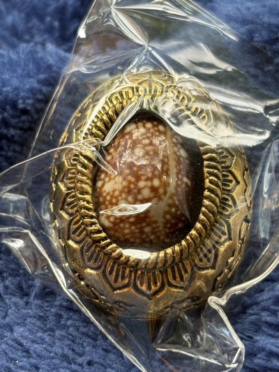 เบี้ยแก้(วัดสร้าง) รุ่นปาฎิหาริย์ พลิกชีวิต 999 หลวงปู่ศิลา วัดโพธิ์ศรีสะอาด กาฬสินธุ์ หมายเลข 923 พร้อมกล่องเดิม