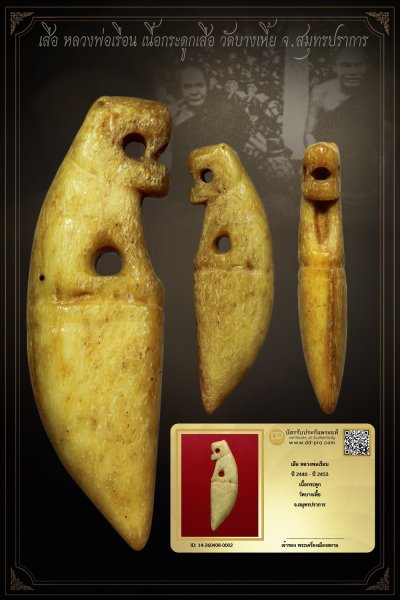 +++ทุนเก่า 4,000 เริ่มประมูล พระแท้ๆ เริ่ม 40 บาท ครับ +++ เสือ หลวงพ่อเรือน (ยุคต้น) ปี 2440 - ปี 2453 เนื้อกระดูกเสือ วัดบางเหี้ย จ.สมุทรปราการ - หายากมาก ครับ ข้อมูลตามบัตรรับประกัน +++