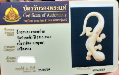 จิ้งจกหลวงพ่อหน่าย วัดบ้าน