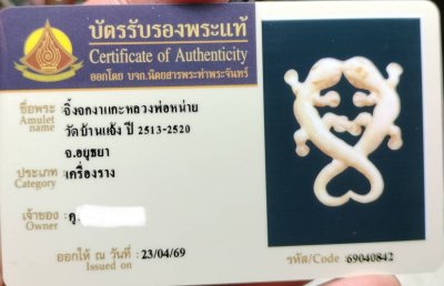 จิ้งจกพ่อหน่ายเนื้องาแกะสวย