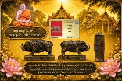 มังกรทองมาแว้วววว พญาหมูเขี้ยวตัน หลวงปู่แผ้ว ปี 2551 เนื้อทองเหลือง วัดรางหมัน จ.นครปฐม