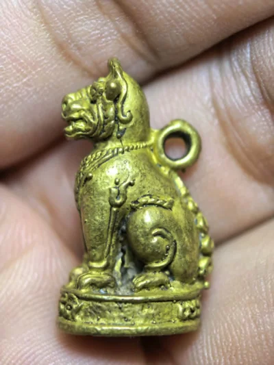 เสือไม่ทราบที่ อุดผงมวลสาร
