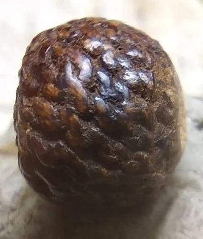 ประคำเก่ามาก