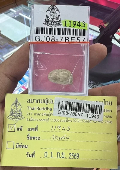 พระกรุวัดพลับ พิมพ์พุงป่องใหญ่ เนื้อผง กทม + บัตรสมาคม