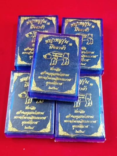 6J0026 เหรียญพญาหมูรุ่น หลวงพ่อสมคิด วัดบึงตาต้า ปี 2564 รวม 5 เหรียญ ซีลเดิม