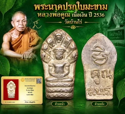 วัดใจ...พระนาคปรกใบมะขาม เนื้อเงิน หลวงพ่อคูณ ปี2536 วัดบ้านไร่ + บัตร (องค์สุดท้าย)