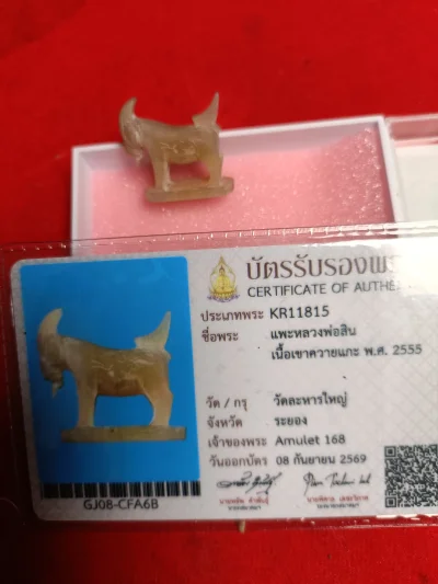 แพะหลวงพ่อสินเนื้อเขาควายแกะ ปี55 วัดละหารใหญ่จังหวัดระยองมีบัตรสมาคม 1 ใบ