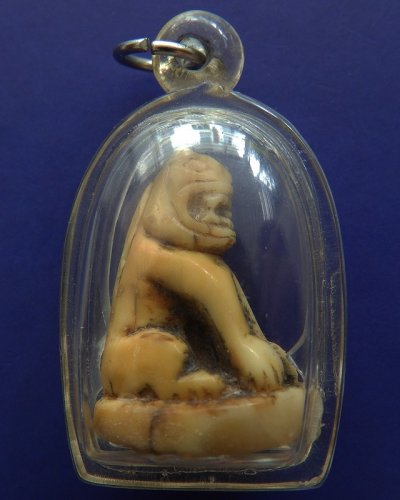 เขี้ยวเสือแกะ เก่า สูง 3 ซ.ม.