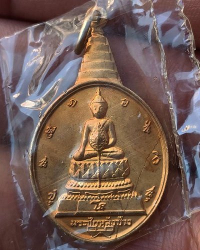 6.เหรียญพระชัยหลังช้าง ในหลวงครบ 5 รอบ หลัง ภปร. พิธีปลุกเสกพร้อมเหรียญพระนอน วัดโพธิ์ ปี 2530