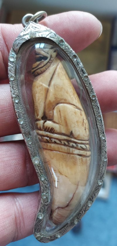 เสือแกะจากเขี้ยวหมี เลี่ยมเงิน สวย มีจารรอบตัว ปลายเขี้ยวบิ่นคร้าบ