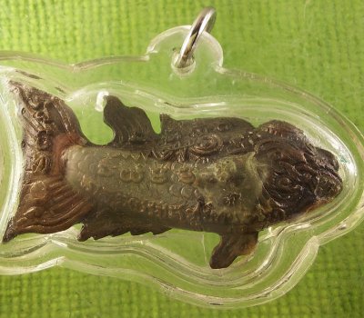 ปลากัด หลวงปู่น่วม เนื้อนวะ เลข 904