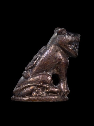 เสือหลวงพ่อปาน วัดมงคลโคธาวาส พร้อมกล่องเดิม