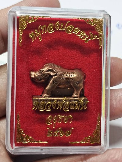 80 บาท หมูปลดหนี้ หลวงพ่อแม้น วัดหน้าต่างนอก อ.ไพศาล แสงชัย ประกอบบวงสรวงตามนิมิต