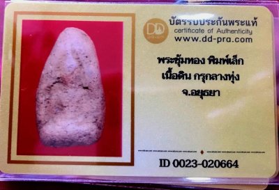 1000.-พระซุ้มทอง พิมพ์เล็ก เนื้อดิน กรุกลางทุ่ง จ.อยุธยา+บัตรดีดี